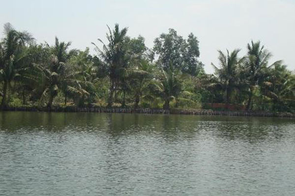 Khu du lịch Đảo Dừa Lửa