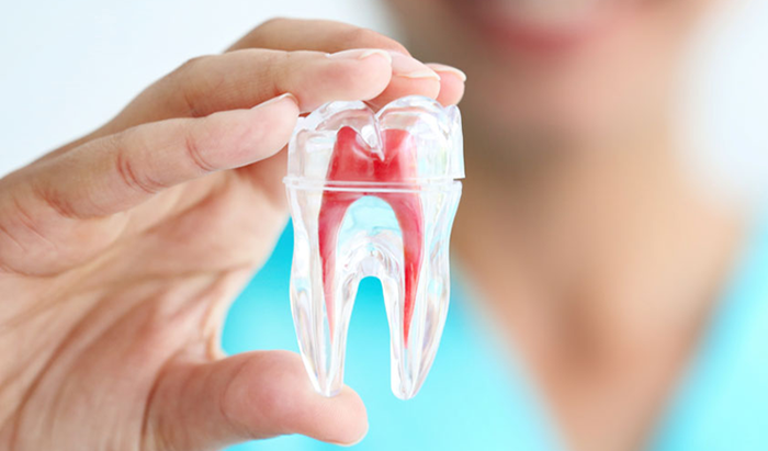 Tại sao phải khám răng định kỳ?