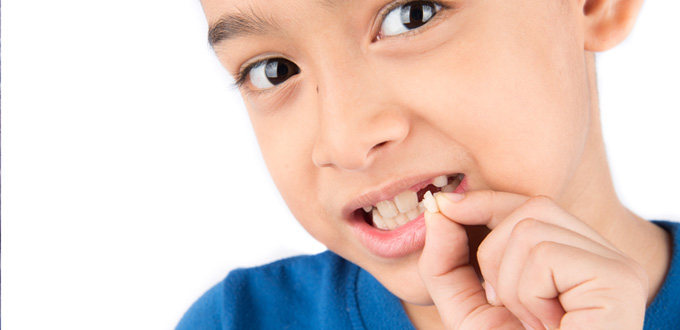 Sự khác biệt giữa răng sữa và răng vĩnh viễn